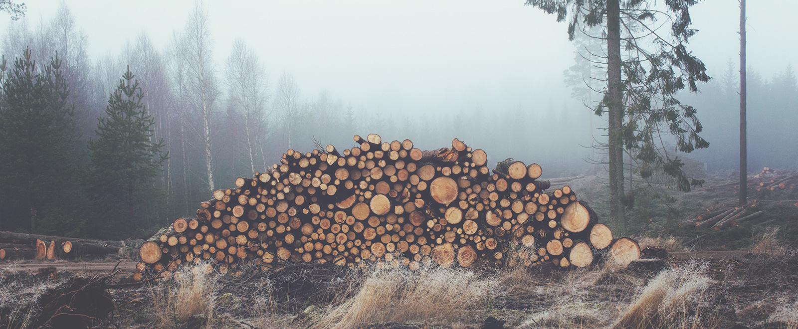 免费短信轰炸机试用